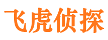 汤阴市侦探调查公司